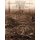 History of the Queen's Royal (West Surrey) Regiment (in the Great War) (Hardcover): Col  H  C  Wylly