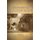 Philosophers on Shakespeare (Paperback): Paul A. Kottman