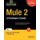 Mule 2 - A Developer's Guide (Paperback, 1st ed.): Antoine Borg, Peter Delia, Ricston Ltd