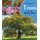 Trees of the British Isles (Paperback): Lucy Beevor