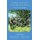 Seven Months in the Rebel States During the North American War, 1863 (Paperback): Justus Scheibert