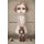 Aesop's Secret (Hardcover): Claudia White