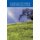 Landscapes of a Mind - A Collection of Fiction, Nonfiction, and a Novella (Paperback): Sharon Penn