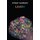 Lumen (Paperback): Tiffany Atkinson