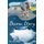Dream Diary (Paperback): Ben Sheldon