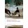 The House of the Seven Gables (Paperback): Nathaniel Hawthorne