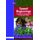 Sound Beginnings - Learning and Development in the Early Years (Paperback, New): Pamela May, Erica Ashford, Gillian Bottle