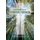 Leadership in a Synodal Church (Paperback): Anne Benjamin, Charles Burford