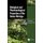 Biological and Pharmacological Properties of the Genus Moringa (Hardcover): J. Basilio Heredia, Erick P. Gutierrez-Grijalva