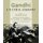Gandhi - A Pictorial Biography (Paperback, 2nd): Gerald Gold