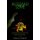 Buzzard Love - A Detour on the Road to Psychic Stardom (Paperback): Gehla S Knight