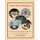 Sweet Taste of Elegance (Paperback): Pastry Chef Jan Meredith
