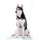 Siberian Husky Affirmations Workbook Siberian Husky Presents - Positive and Loving Affirmations Workbook. Includes: Mentoring...