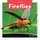 Insects: Fireflies (Paperback): Leo Statts