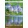 Extraordinary Dreams of an Ireland Traveler (Paperback, 2nd Revised ed.): Rosemary Mamie Adkins