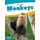 Animals: Monkeys (Paperback): Nick Rebman