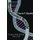 Revolutionary Biology - The New, Gene-centered View of Life (Paperback, New edition): David Barash