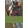 Twenty Horses (Paperback): Dr Nancy Esther Peter