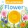 Pop-Up Peekaboo!: Flower (Board book): Dk