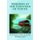 Murders at the Fountain of Youth (Paperback): Kevin Douglas Wright