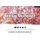 Interdisciplinary Thinking for Schools: Ethical Dilemmas MYP 1, 2 & 3 (Paperback): Dr. Meredith J Harbord, Meredith J Harbord,...