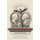 Socrates and the Jews (Paperback): Miriam Leonard