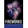 Fireworks (Hardcover): Mary Brooks