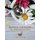 Nutrition and Health for Metaphysicians (Paperback): Carol Stocking
