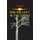 Are We Left in the Dark? (Paperback): Sebo