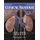 Essential Clinical Anatomy (Paperback, 3rd Revised edition): Keith L. Moore, Anne M.R. Agur