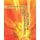 English Language Lessons Book II - Applying Basic Vocabulary + Basic Conversational Phrases + Environmental Signs + Safety...