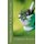 Reclifing Remedies. (Rus) - Catalog in Russian (Russian, Paperback): Dr Nehama Milson