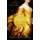Girl on the Golden Coin (Paperback): Marci Jefferson