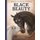 Black Beauty (Hardcover): Anna Sewell