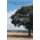 The Stonnall Brigade - 60 Short Stories. Fact, Fiction Mystery, Suspense and Romance. (Paperback): David S. Smith