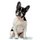 French Bulldog Affirmations Workbook French Bulldog Presents - Positive and Loving Affirmations Workbook. Includes: Mentoring...
