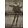Twelfth Night - New Critical Essays (Hardcover, New): James Schiffer