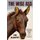 The Wise Ass (Paperback): Tom McCaffrey