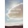 Battleborn - Stories (Paperback): Claire Vaye Watkins