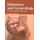 Obstetrics and Gynecology: A Case-Based Approach (Hardcover): Annabelle Coleman