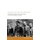 Pacifism, Just War, and Tyrannicide (Hardcover): David M Gides