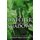 The Watcher in the Shadows (Paperback): Carlos Ruiz Zafon