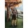 Sarancus of the Rift (Hardcover): R. E. Close