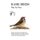 Rare Birds Day by Day (Hardcover): Steve Dudley, Tim Benton, Peter Fraser, John Ryan