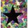 Prizm (Hardcover): Matthew H Mitchell, Nina Madore Mitchell