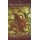 The Red Hourglass - Lives of the Predators (Paperback): Gordon Grice