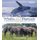 Whales and Elephants in International Conservation Law and Politics - A Comparative Study (Paperback): Ed Couzens