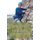 Reaching for the Heights (Paperback): Catharina Keyzer