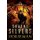Horseman - A Nate Temple Supernatural Thriller Book 10 (Paperback): Shayne Silvers