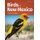 Birds of New Mexico Field Guide (Paperback, 2nd Revised edition): Stan Tekiela